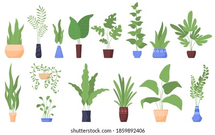 Houseplants. Flowerpots. isolated vector illustration
