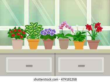 Houseplants and flowers in blossom background with window and drawers flat vector illustration 