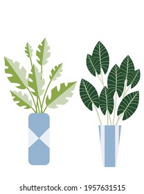 houseplants, flowers in pots, botanical elements, decorative flowers, green leaves and branches, stylized, flat vector graphics