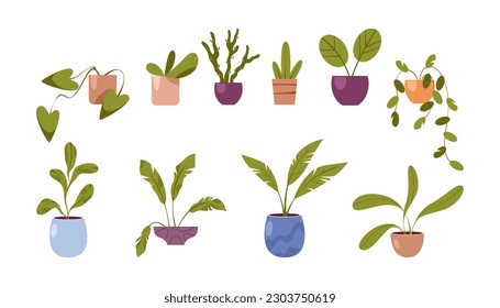 Houseplants, flowers in pots isolated flat cartoon house plants set, home or office flowerpots with green leaves, palms and cacti plants, potted trees