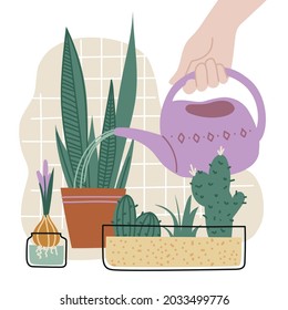 Houseplants. Girl watering indoor flowers from a watering can. Vector image.