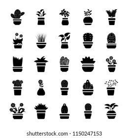 Houseplants Glyph Vector Icon Pack 