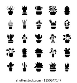 Houseplants Glyph Vector Icon Set 