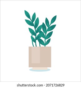 houseplants green garden pot nature