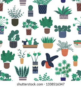 Houseplants growing in pots vector, seamless pattern of flora and foliage decorating homes. Calla flowering in vase, floral bouquet and cactus in flowerpot