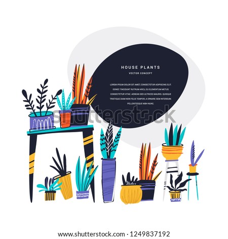 Houseplants hand drawn color vector illustration. Flower pots and text frame. House plants exhibition poster concept with copyspace. Indoor plants banner, magazine page scandinavian cartoon template