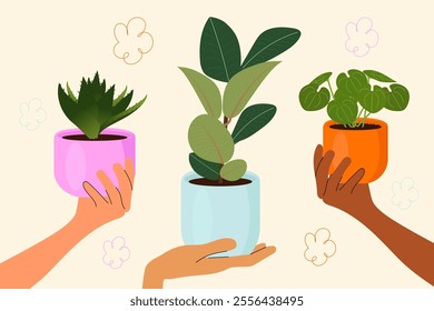 Houseplants. Hands holding plants for home and decor. Flat vector illustrations.