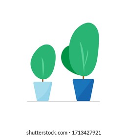 Houseplants or house plants isolated indoor in pot vector set on white background illustration, home growing herbal plants gardening concept