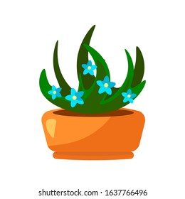 Houseplants inside pot. Flower blossom potted plant for indoor and outdoor landscape design isolated on white. Vector illustration