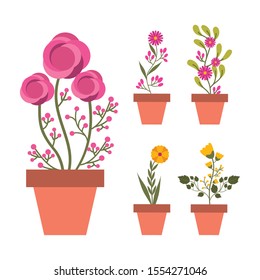 Houseplants inside pots design, Garden ornament nature botany natural and floral theme Vector illustration