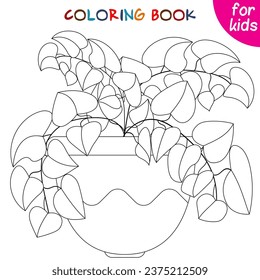 Houseplants. Leafy plant. Indoor exotic flowers in a flower pot. Coloring book page template