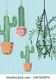 houseplants in macrame hangers