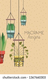 houseplants in macrame hangers
