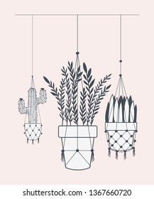 houseplants in macrame hangers
