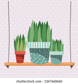 houseplants in macrame hangers and swing