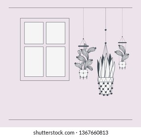 houseplants in macrame hangers with window