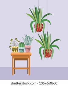houseplants in macrame hangers and wooden chair