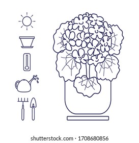 
Houseplants. Necessary accessories for growth and flowering. Close-up. Contour image on a white background. Design element. Vector illustration.