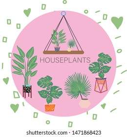 Houseplants with note on pink circle element. Vector Illustration