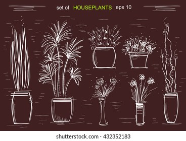 Houseplants on chalk board.Vector hand draw illustration isolated