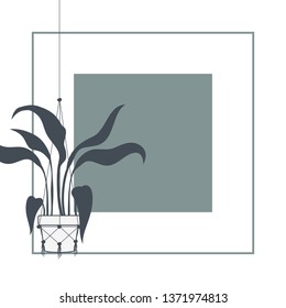 houseplants on macrame hangers and frame