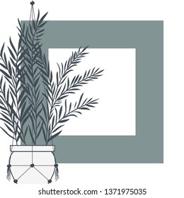houseplants on macrame hangers and frame