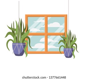 houseplants on macrame hangers icon