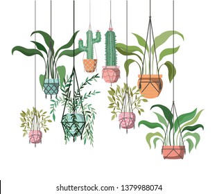 Houseplants On Macrame Hangers Icon