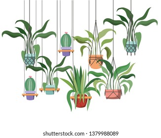 houseplants on macrame hangers icon