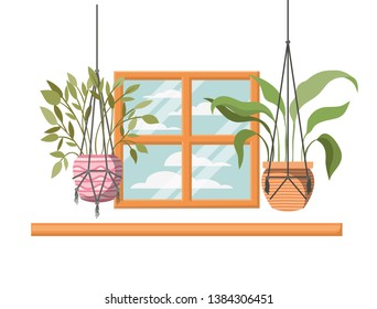 houseplants on macrame hangers icon