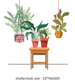 houseplants on macrame hangers and table