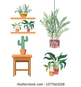 houseplants on macrame hangers and table