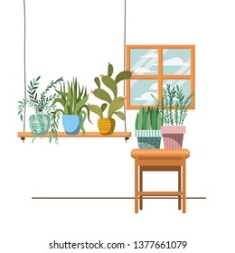 houseplants on macrame hangers and table