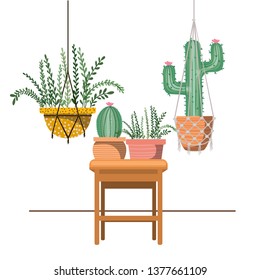 houseplants on macrame hangers and table