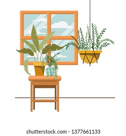 houseplants on macrame hangers and table