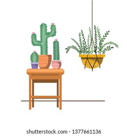 houseplants on macrame hangers and table