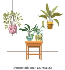 houseplants on macrame hangers and table