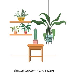 houseplants on macrame hangers and table