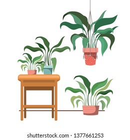 houseplants on macrame hangers and table