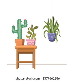 houseplants on macrame hangers and table