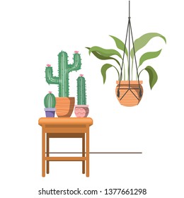 houseplants on macrame hangers and table