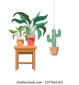 houseplants on macrame hangers and table