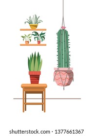 houseplants on macrame hangers and table