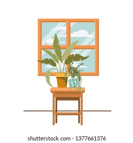 houseplants on macrame hangers and table