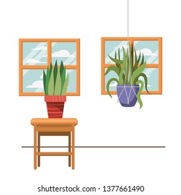 houseplants on macrame hangers and table