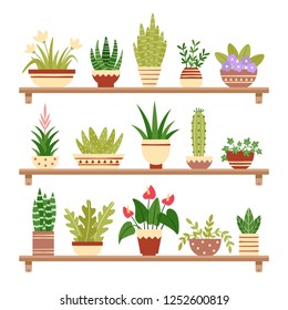 Houseplants on shelf. Flower in pot, potted houseplant and plant pots. Home plants on shelves. Garden decoration flower houseplants pots flat isolated icons vector illustration set