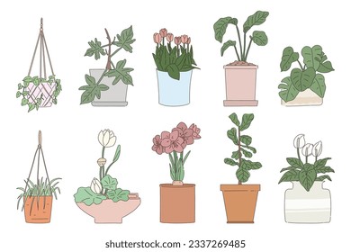 Houseplants on shelves illustration, flower in pot, potted houseplant and plant pots.