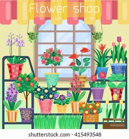 Houseplants on the showcase in flower shop. Store interior. Vector illustration. Flat style