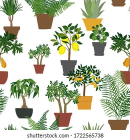 Houseplants pattern. Homemade exotic flowers in pots. Tropical plants in pots.