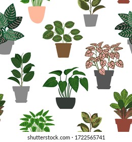 Houseplants pattern. Homemade exotic flowers in pots. Tropical plants in pots.